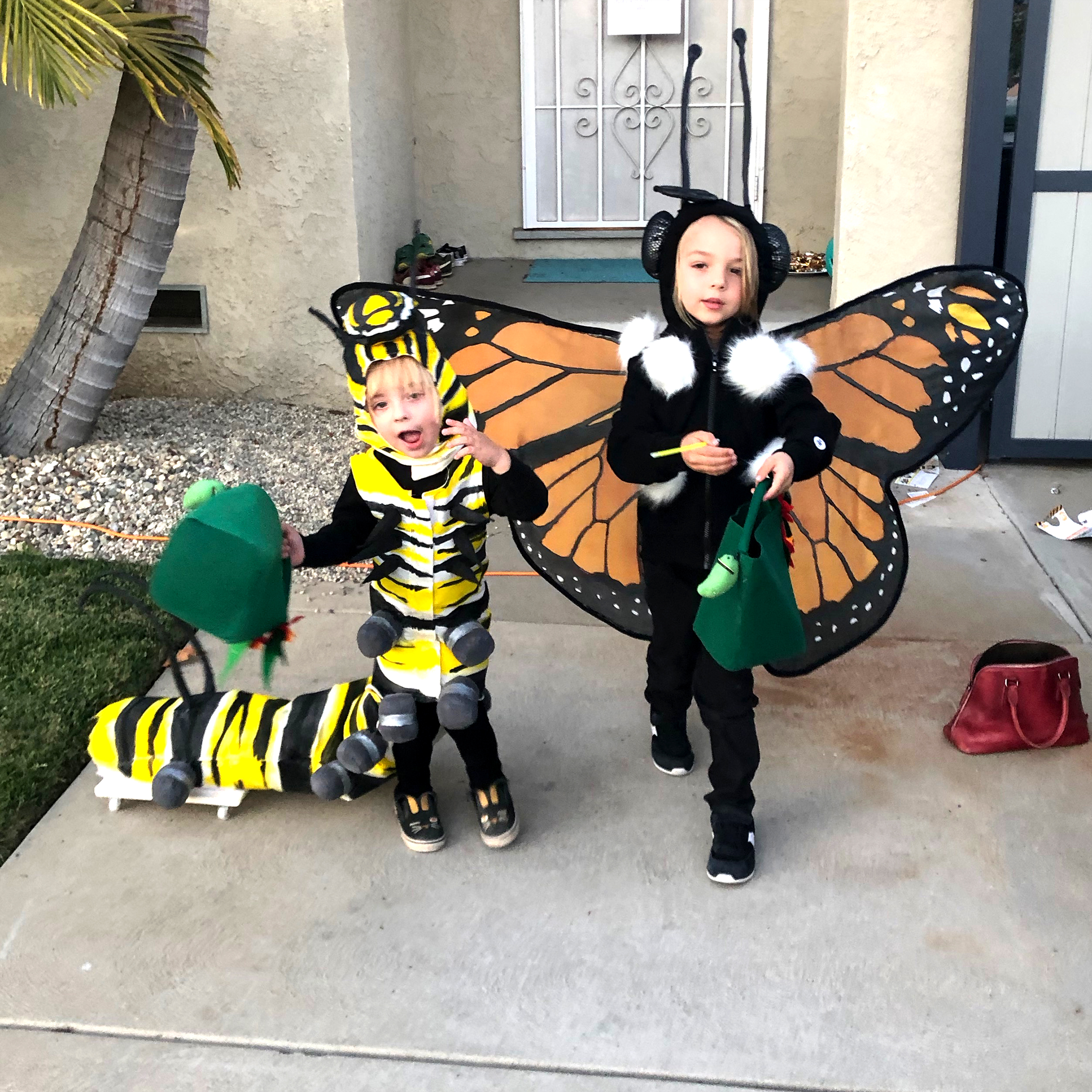 Mini Monarchs